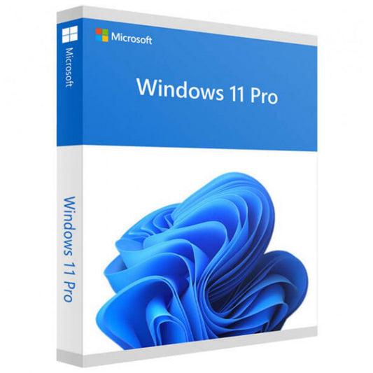 Windows 11 Professional